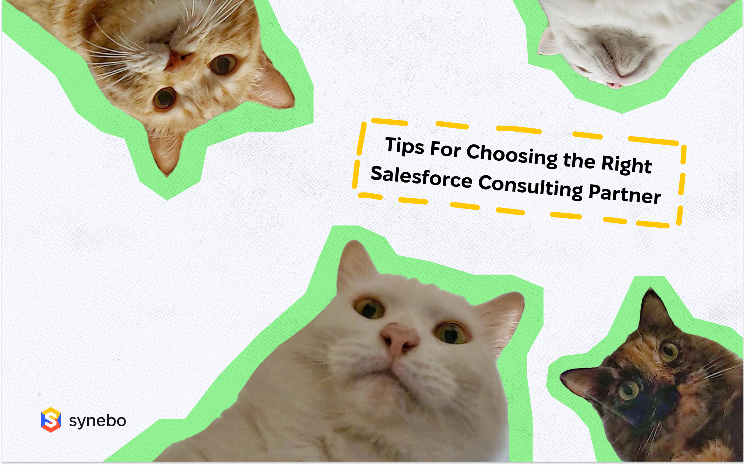 Tips for choosing the right salesforce consulting partner