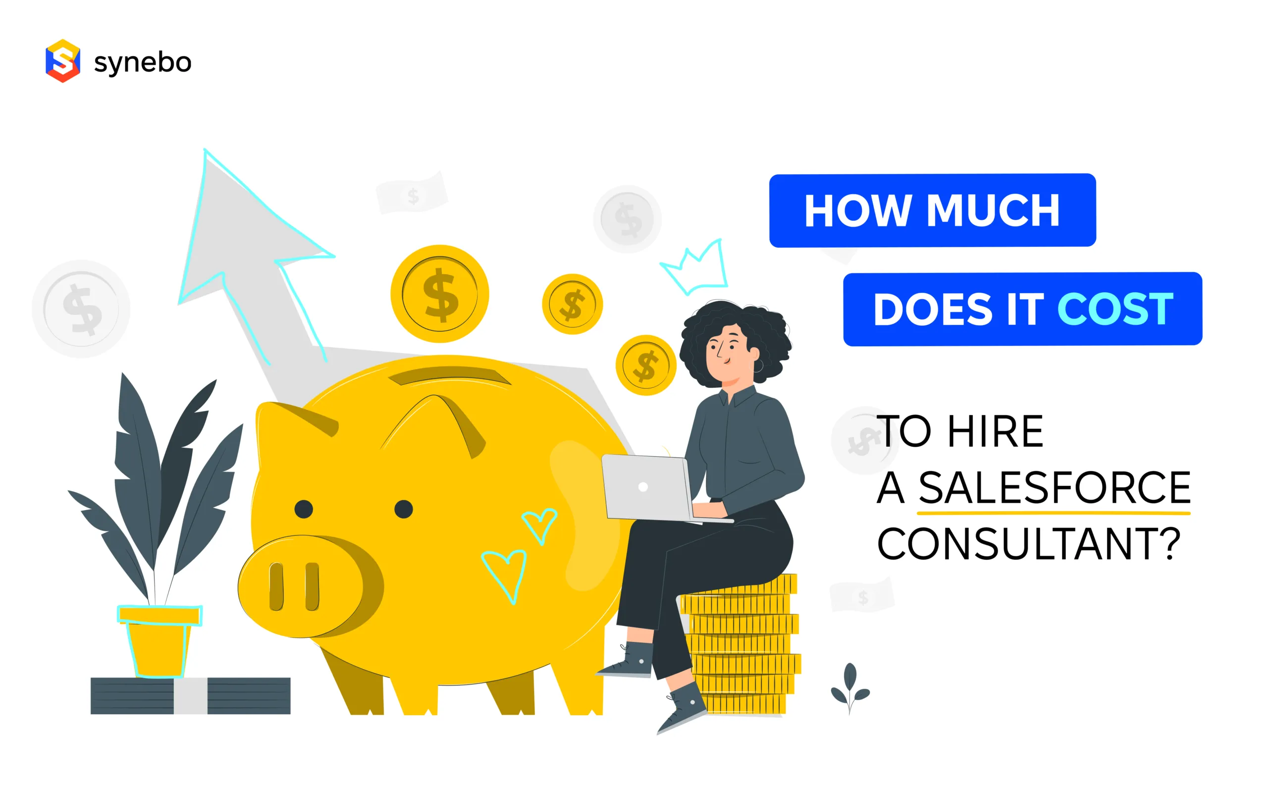 How much does it cost to hire a salesforce consultant
