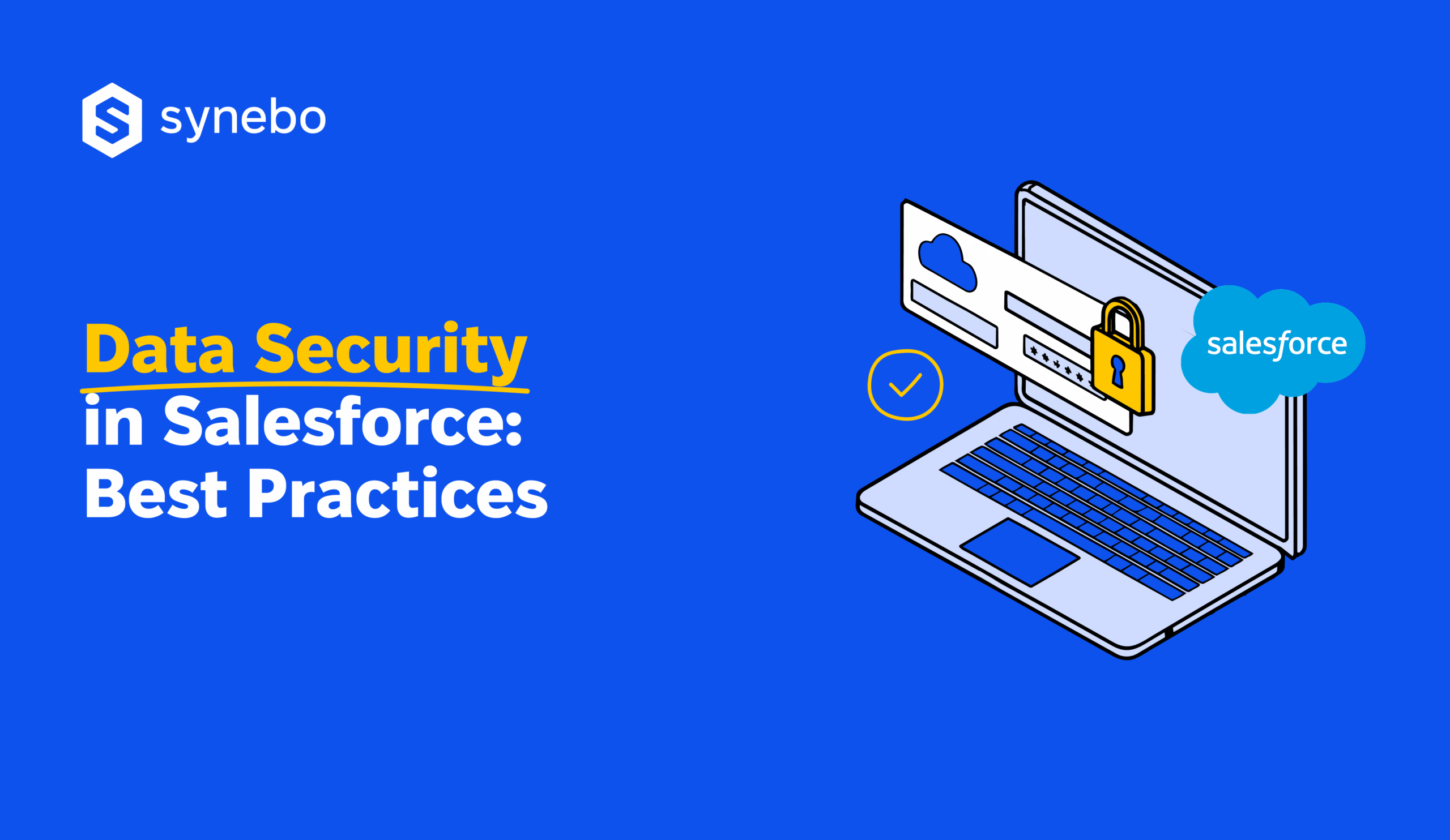 Data Security in Salesforce: Protect Your Data | Synebo