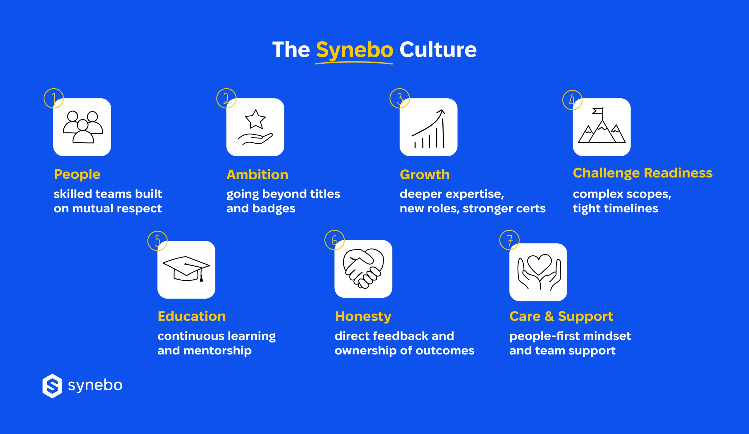 Synebo_Salesforce_Development_Company_Values
